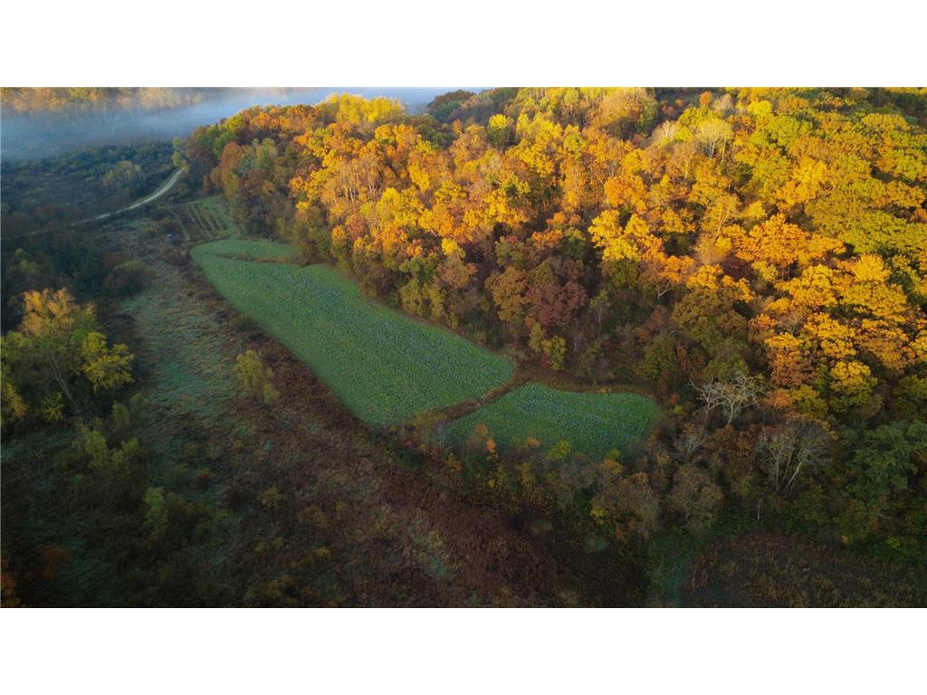 N35194 Przybilla Lane Burnside Twp WI 54747 7050101 image16