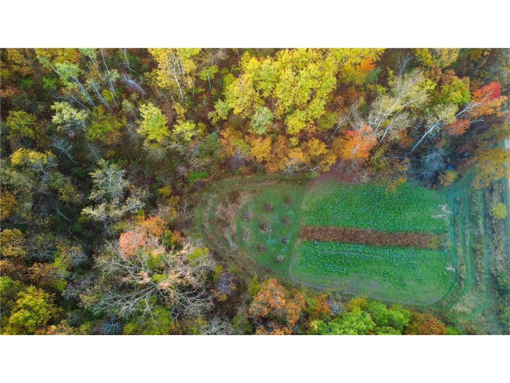 N35194 Przybilla Lane Burnside Twp WI 54747 7050101 image17