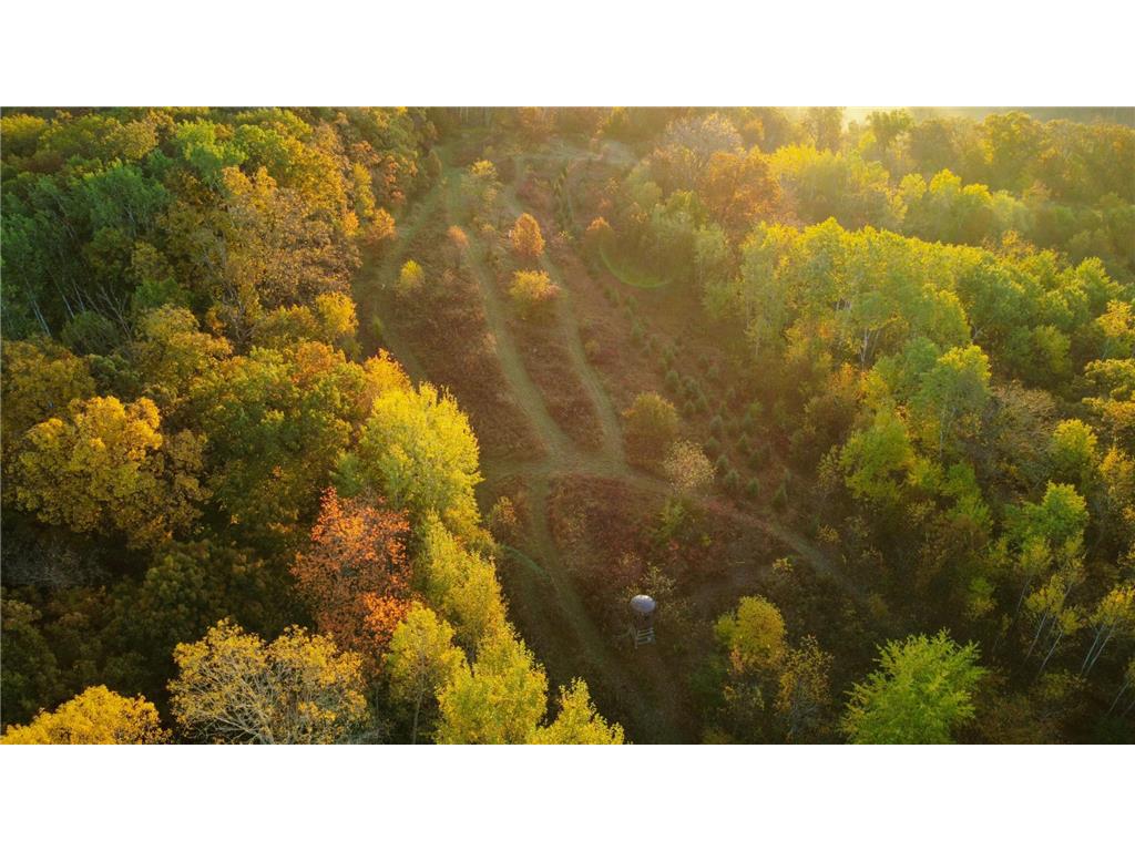 N35194 Przybilla Lane Burnside Twp WI 54747 7050101 image21