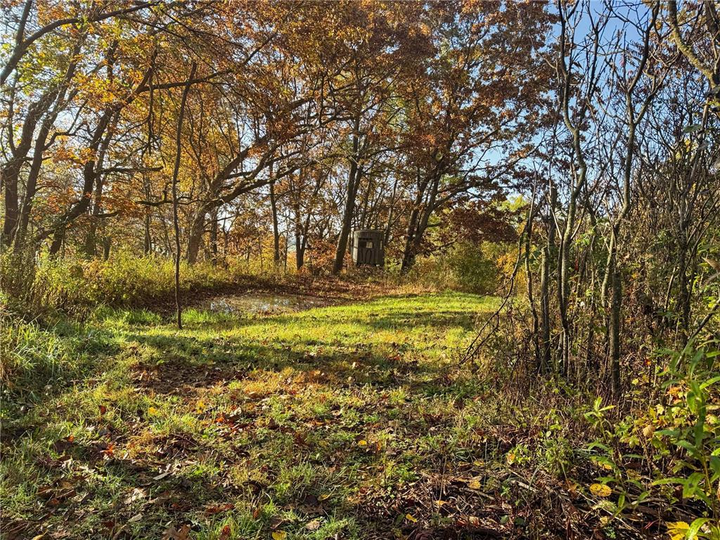 N35194 Przybilla Lane Burnside Twp WI 54747 7050101 image24