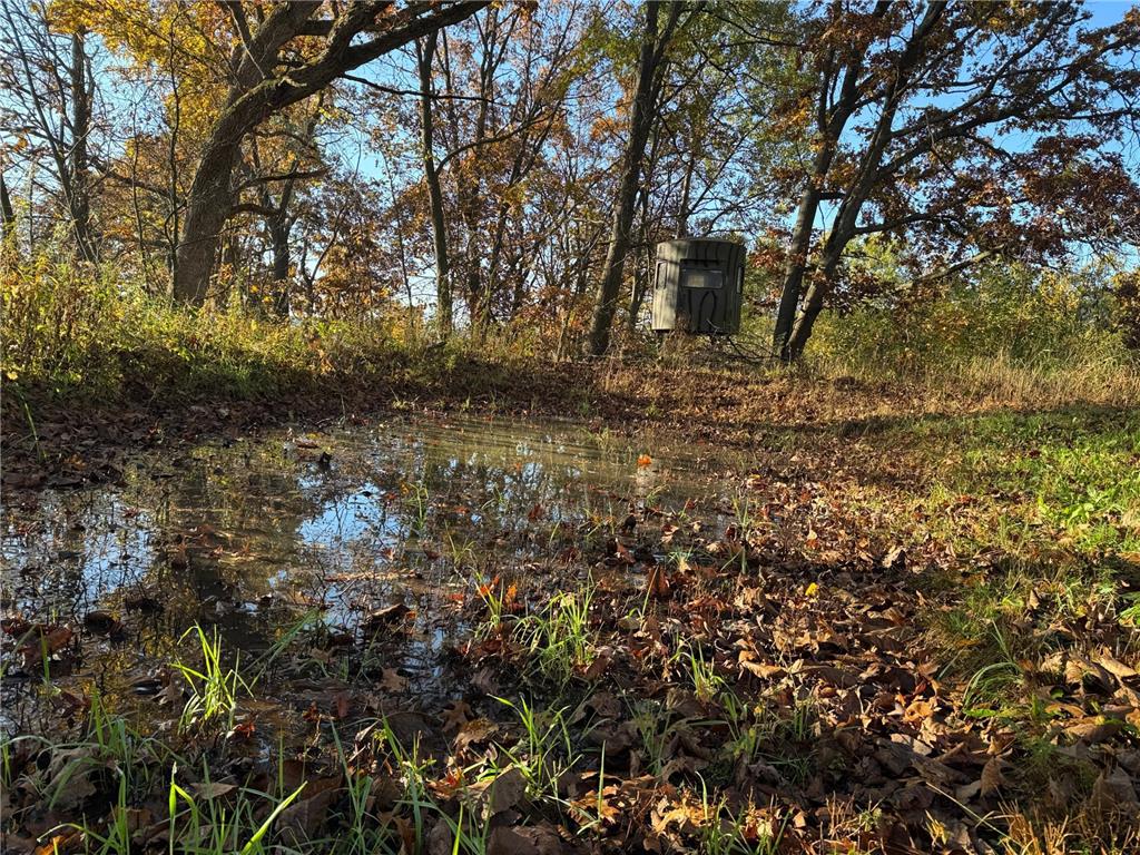 N35194 Przybilla Lane Burnside Twp WI 54747 7050101 image25