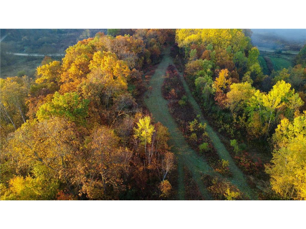 N35194 Przybilla Lane Burnside Twp WI 54747 7050101 image26