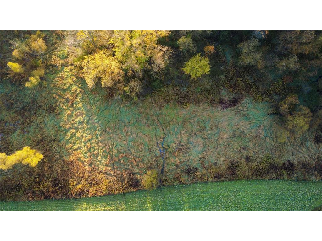 N35194 Przybilla Lane Burnside Twp WI 54747 7050101 image28