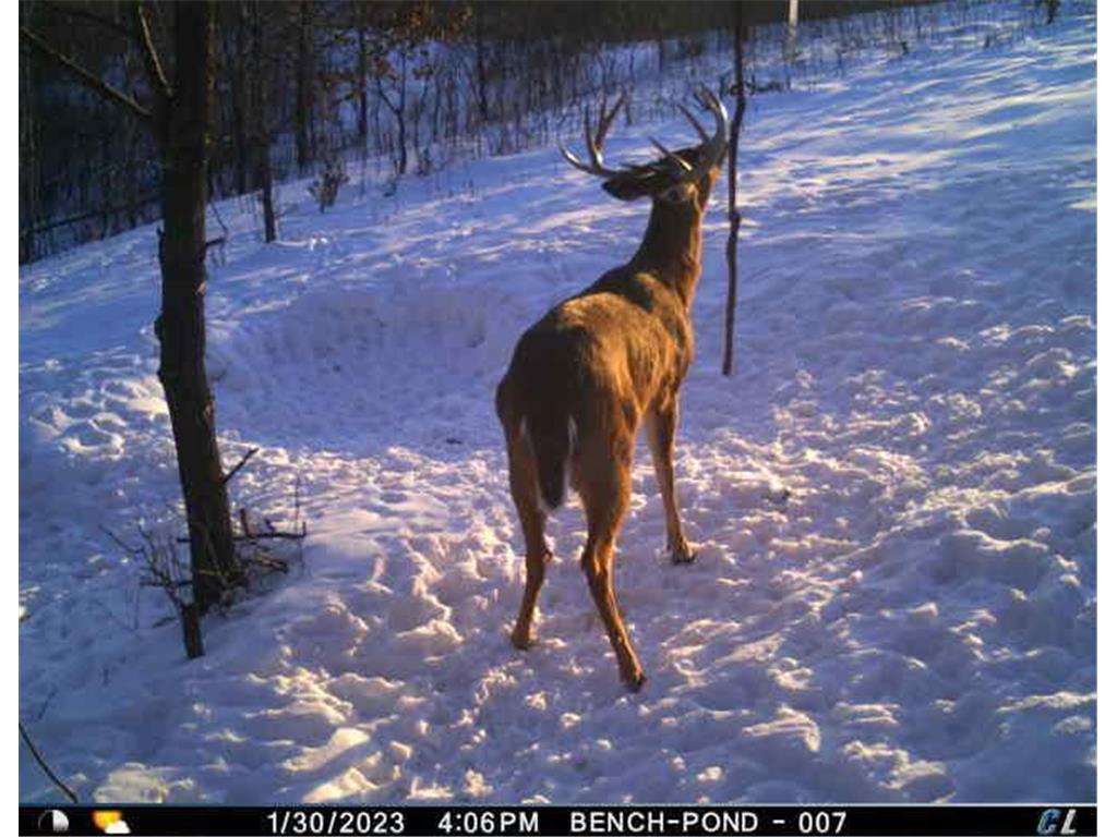 N35194 Przybilla Lane Burnside Twp WI 54747 7050101 image29