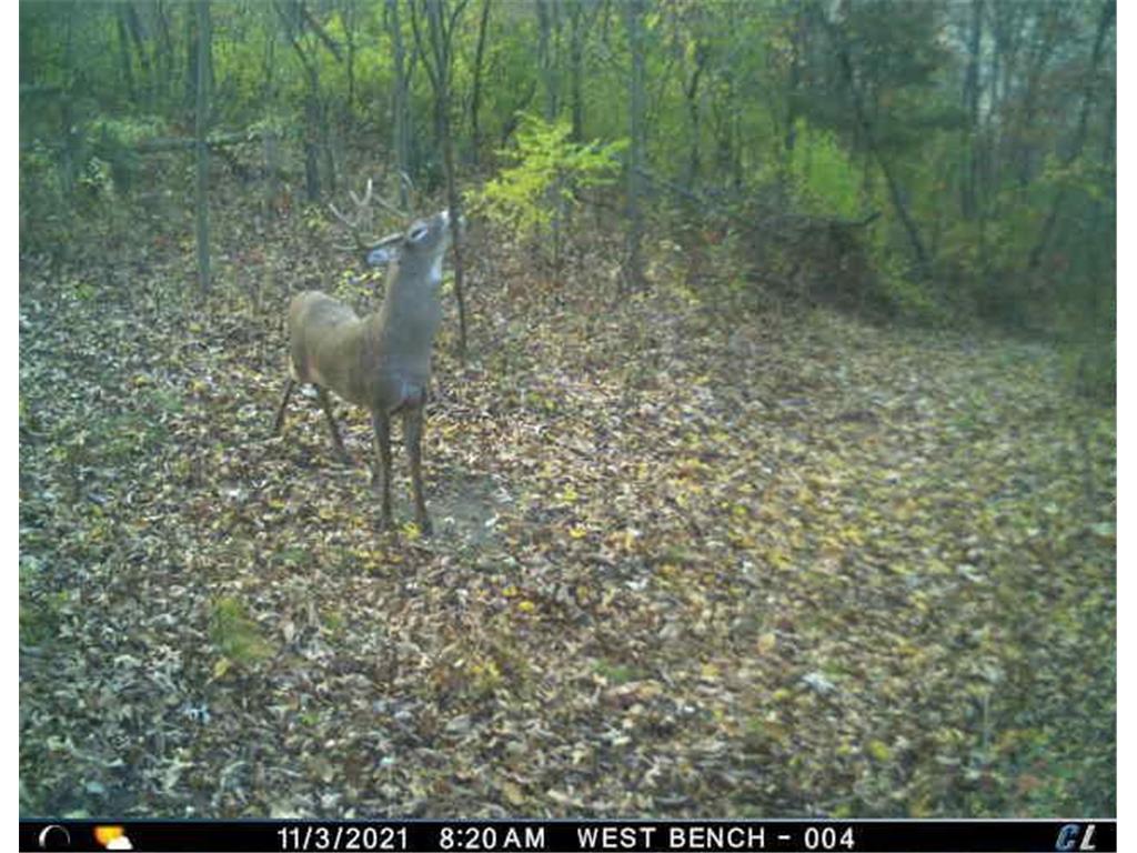 N35194 Przybilla Lane Burnside Twp WI 54747 7050101 image30