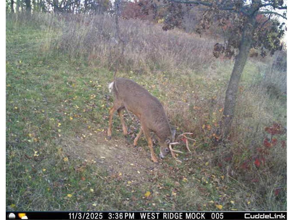 N35194 Przybilla Lane Burnside Twp WI 54747 7050101 image31