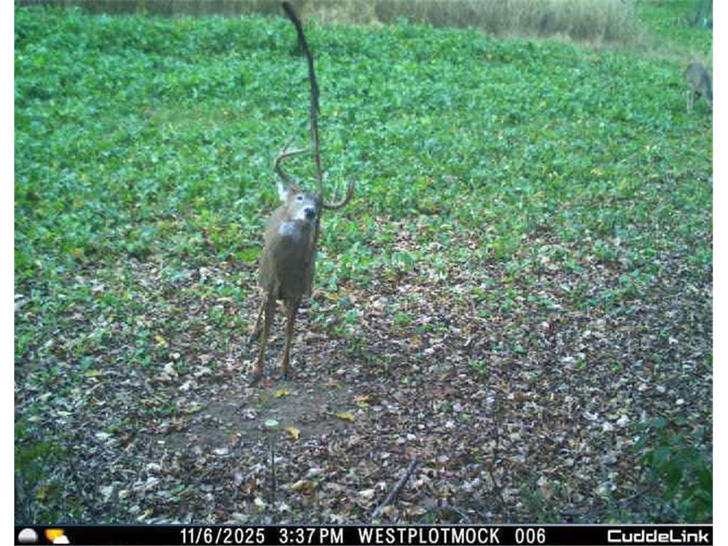 N35194 Przybilla Lane Burnside Twp WI 54747 7050101 image32