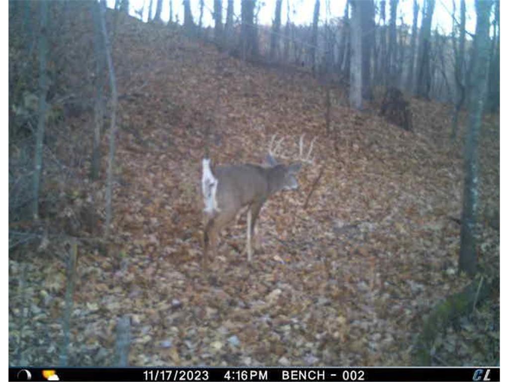 N35194 Przybilla Lane Burnside Twp WI 54747 7050101 image33