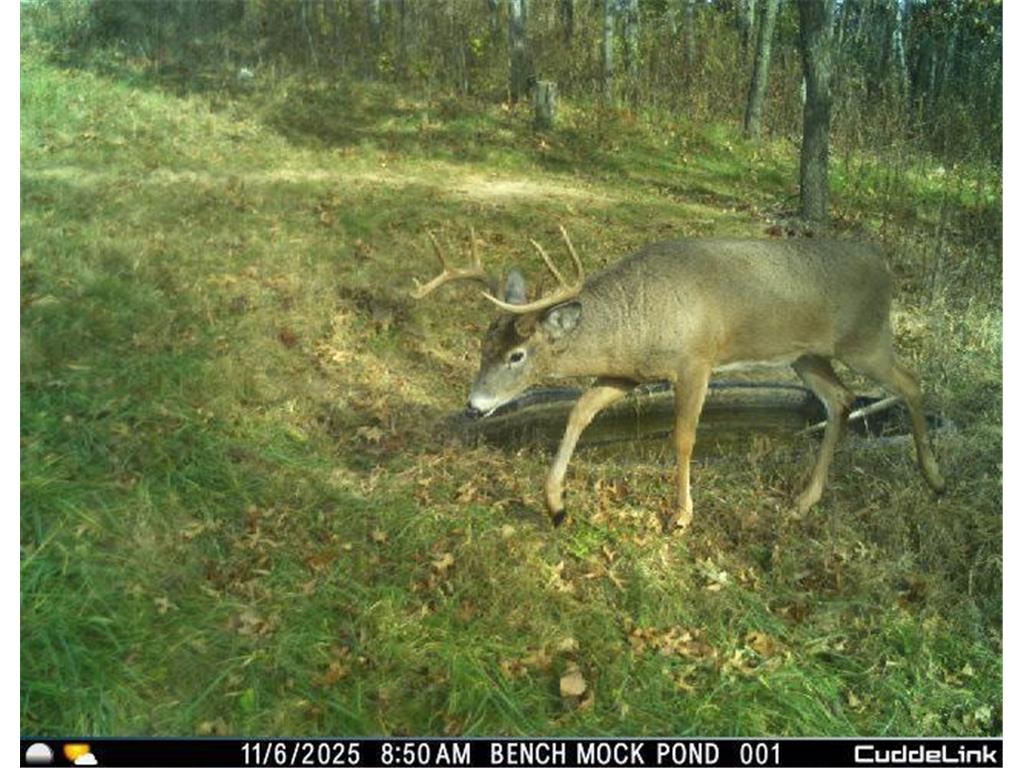 N35194 Przybilla Lane Burnside Twp WI 54747 7050101 image34
