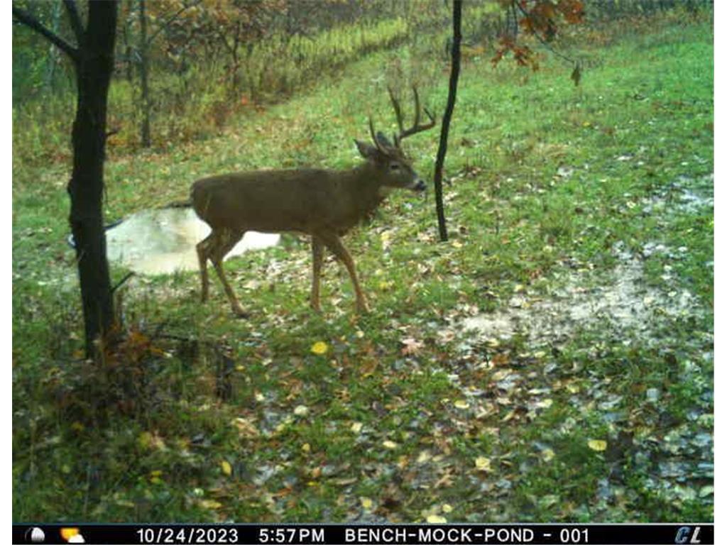 N35194 Przybilla Lane Burnside Twp WI 54747 7050101 image36