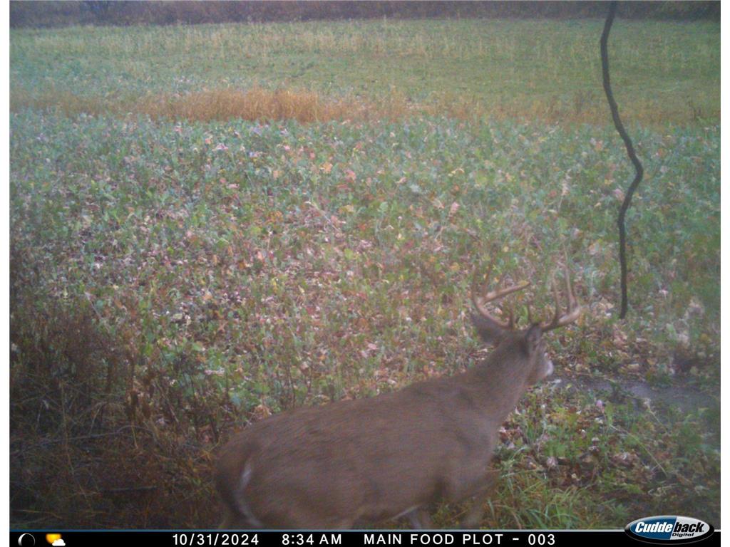 N35194 Przybilla Lane Burnside Twp WI 54747 7050101 image37