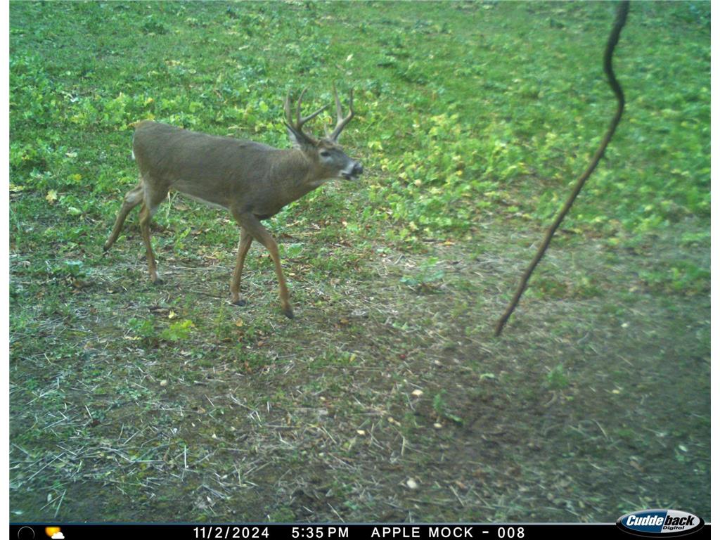 N35194 Przybilla Lane Burnside Twp WI 54747 7050101 image38