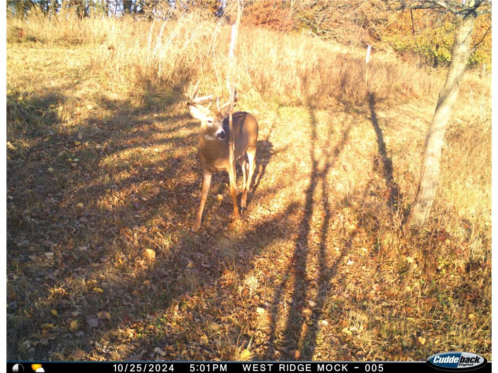 N35194 Przybilla Lane Burnside Twp WI 54747 7050101 image39