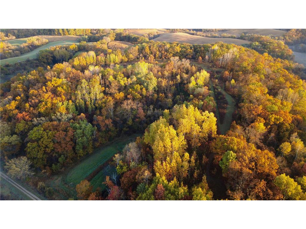 N35194 Przybilla Lane Burnside Twp WI 54747 7050101 image4