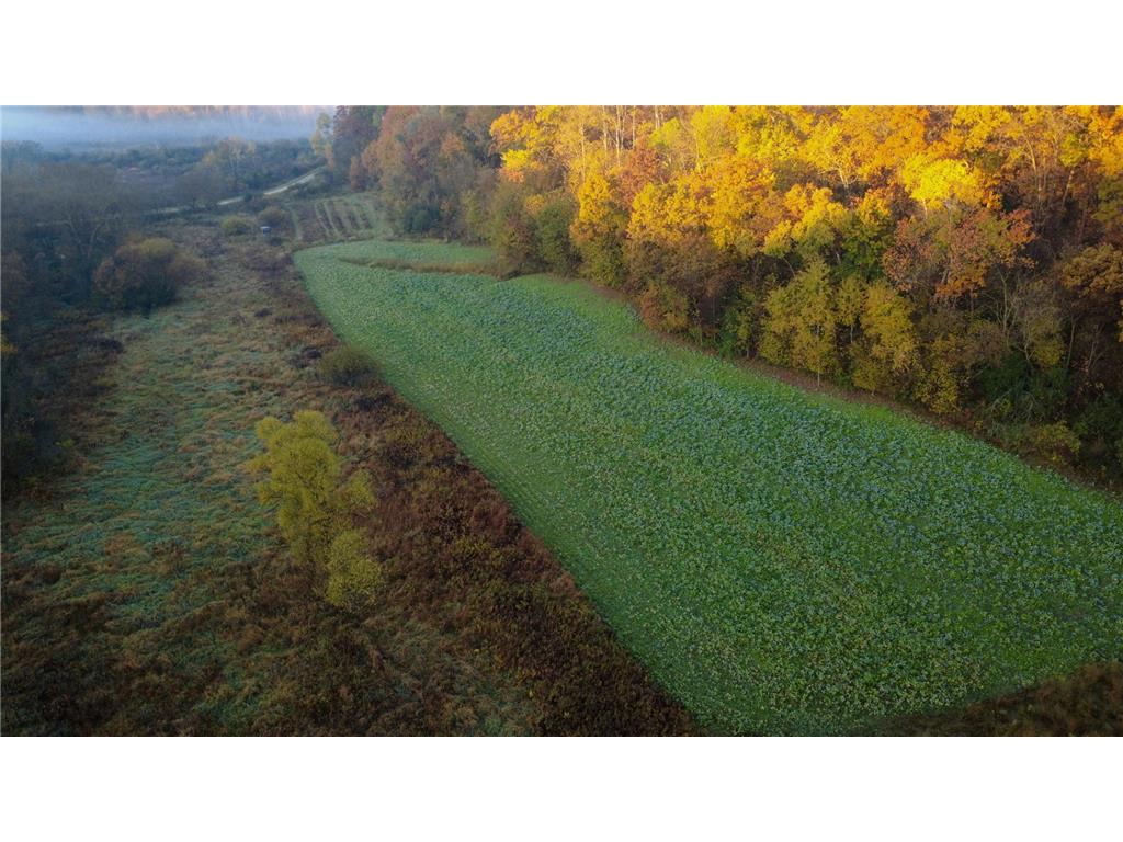 N35194 Przybilla Lane Burnside Twp WI 54747 7050101 image43