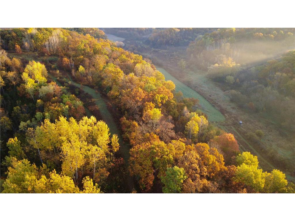 N35194 Przybilla Lane Burnside Twp WI 54747 7050101 image44