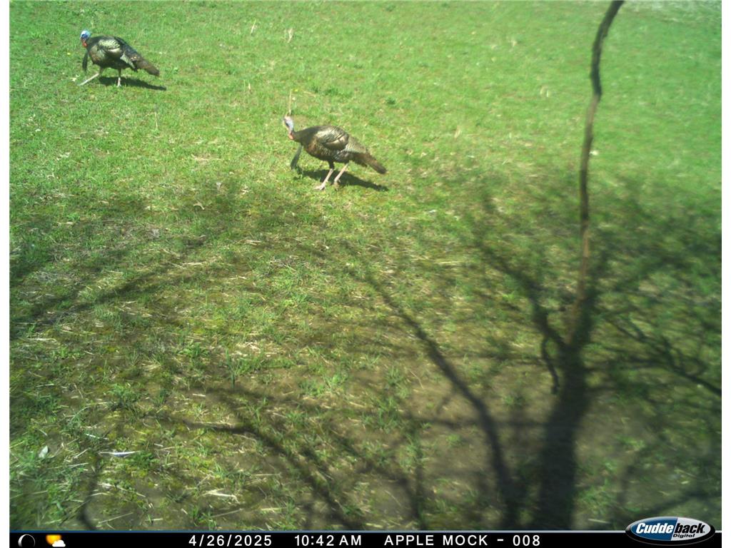 N35194 Przybilla Lane Burnside Twp WI 54747 7050101 image46