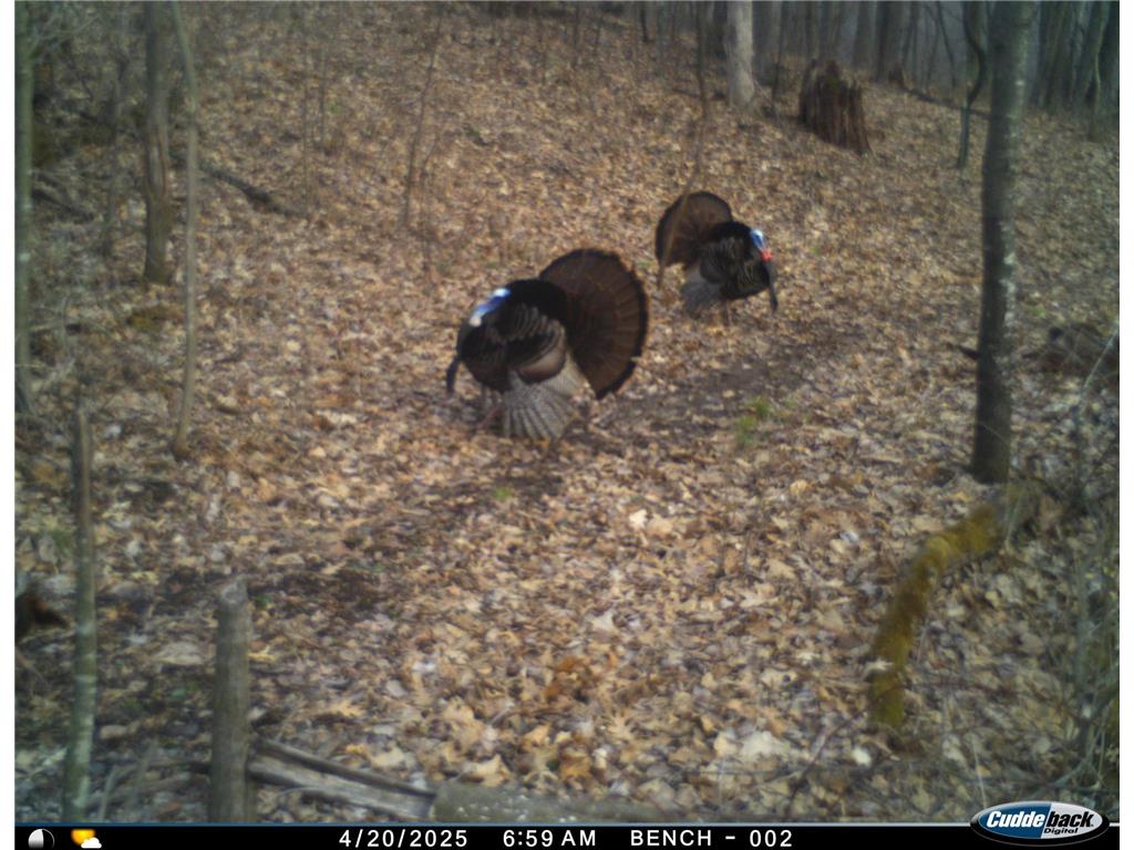 N35194 Przybilla Lane Burnside Twp WI 54747 7050101 image47