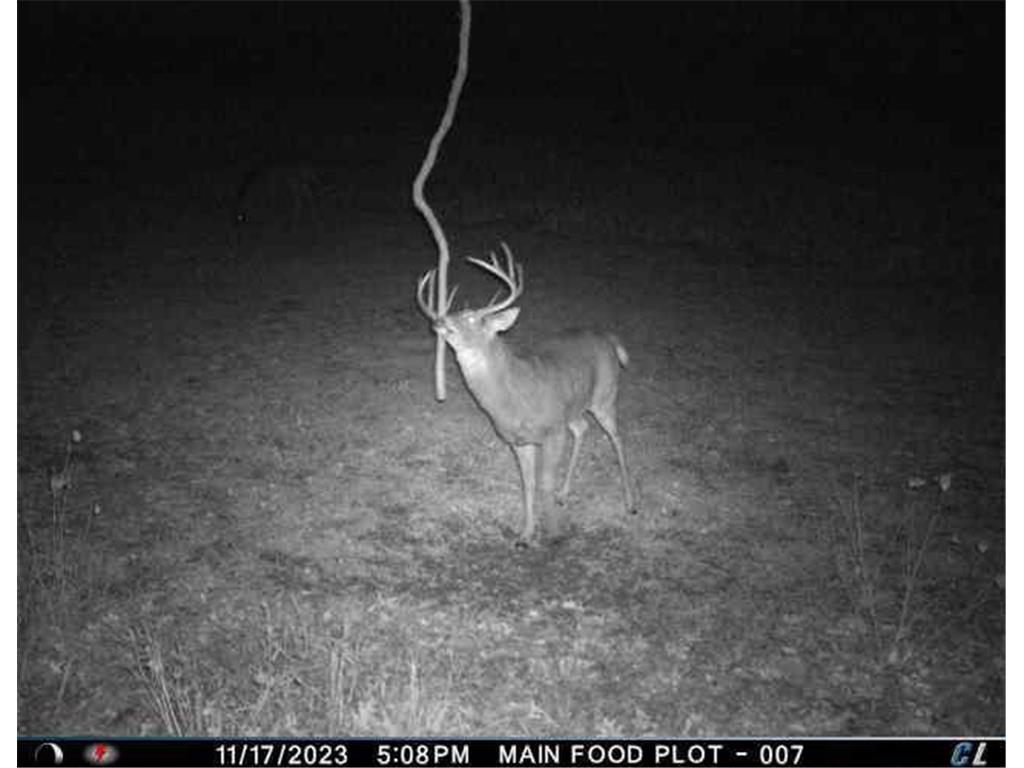 N35194 Przybilla Lane Burnside Twp WI 54747 7050101 image48