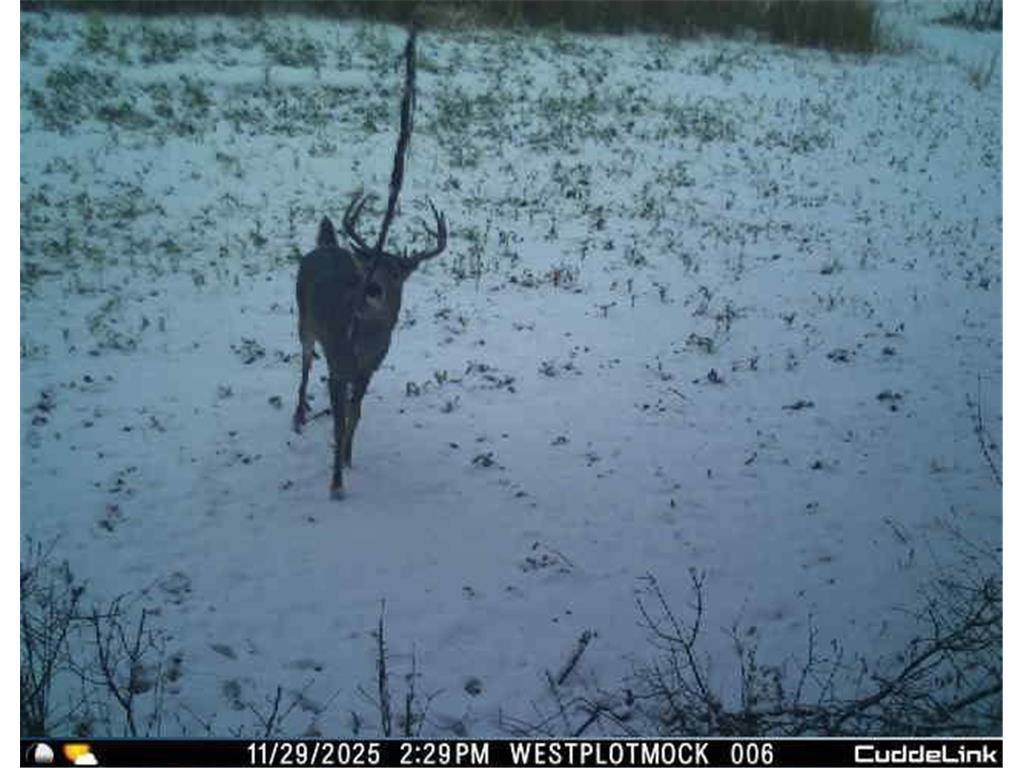 N35194 Przybilla Lane Burnside Twp WI 54747 7050101 image49