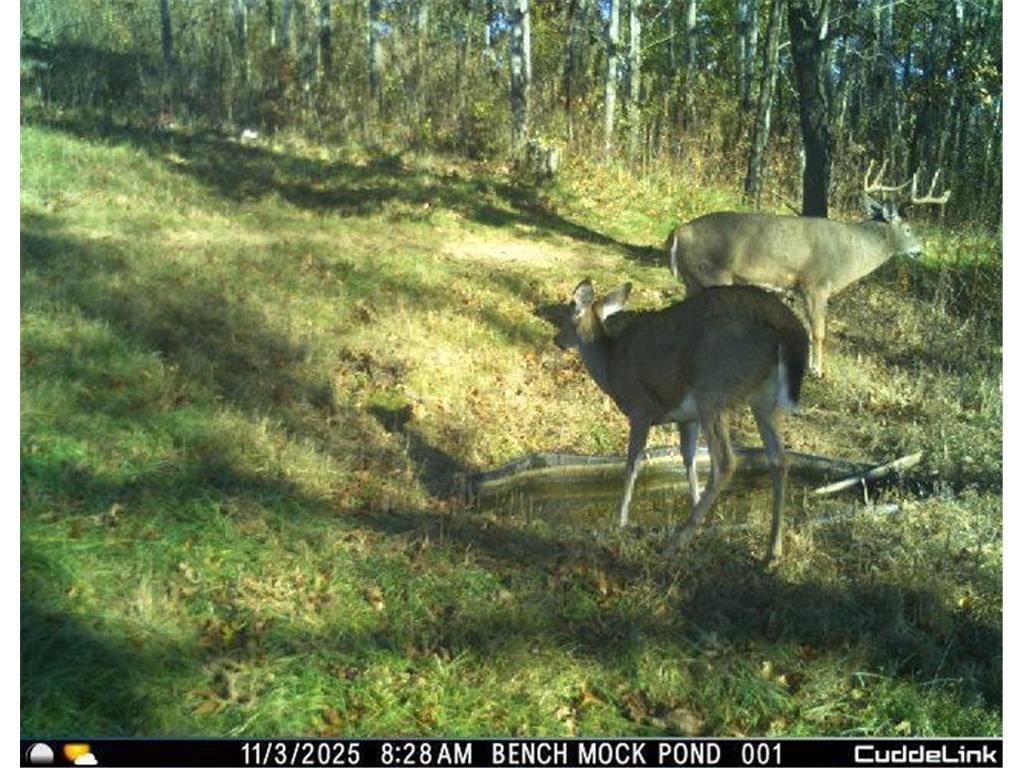 N35194 Przybilla Lane Burnside Twp WI 54747 7050101 image5