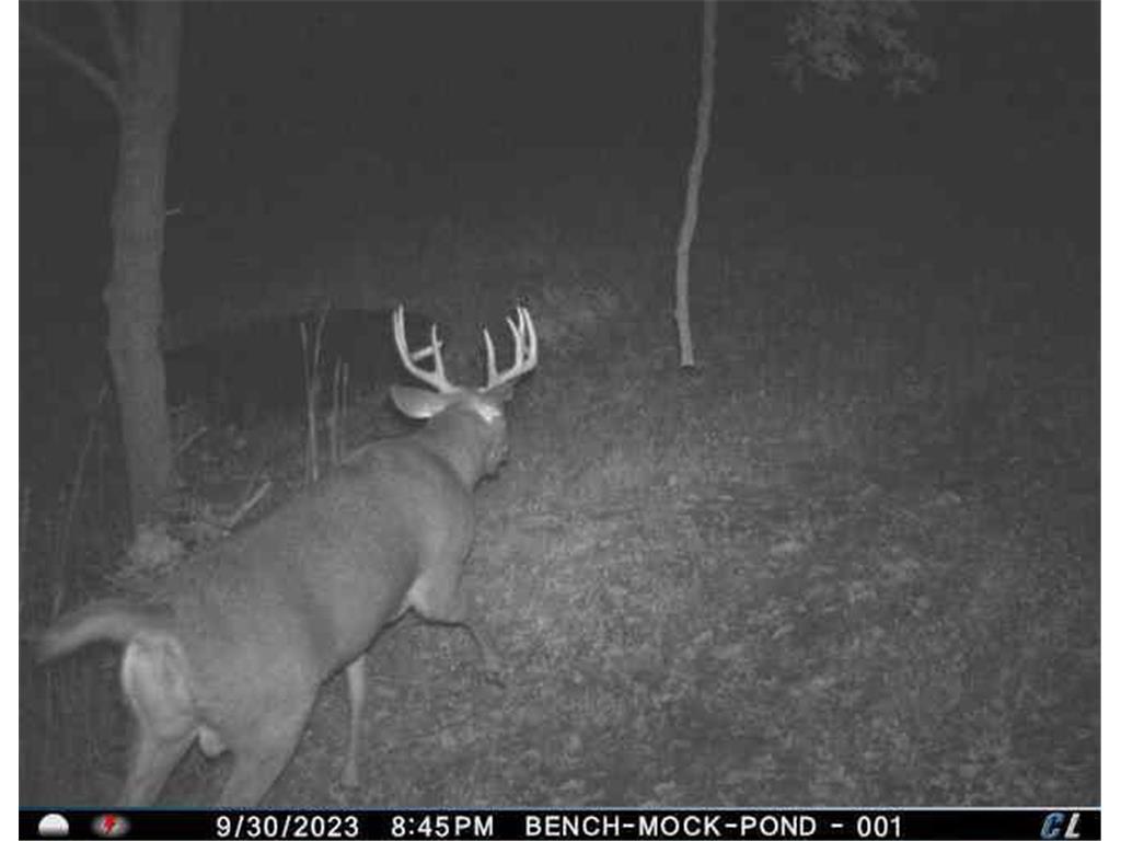 N35194 Przybilla Lane Burnside Twp WI 54747 7050101 image50