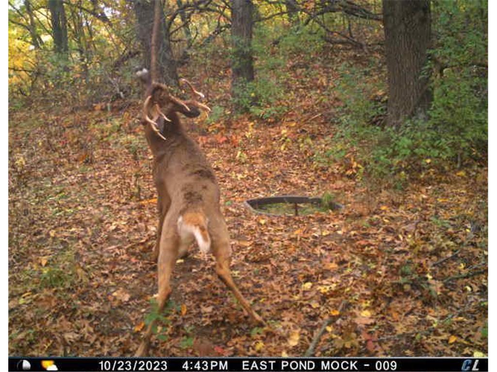 N35194 Przybilla Lane Burnside Twp WI 54747 7050101 image52