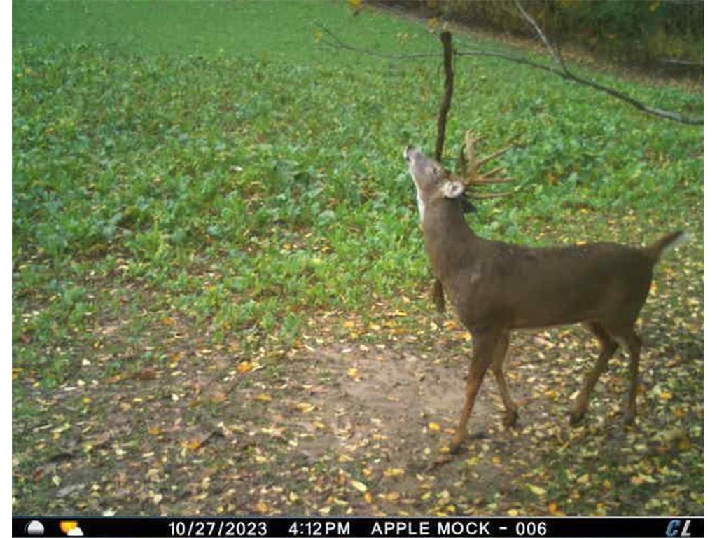 N35194 Przybilla Lane Burnside Twp WI 54747 7050101 image53