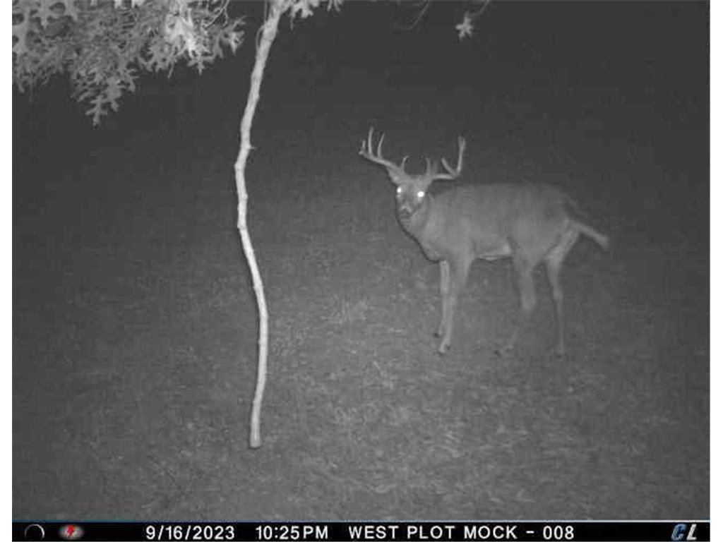 N35194 Przybilla Lane Burnside Twp WI 54747 7050101 image54