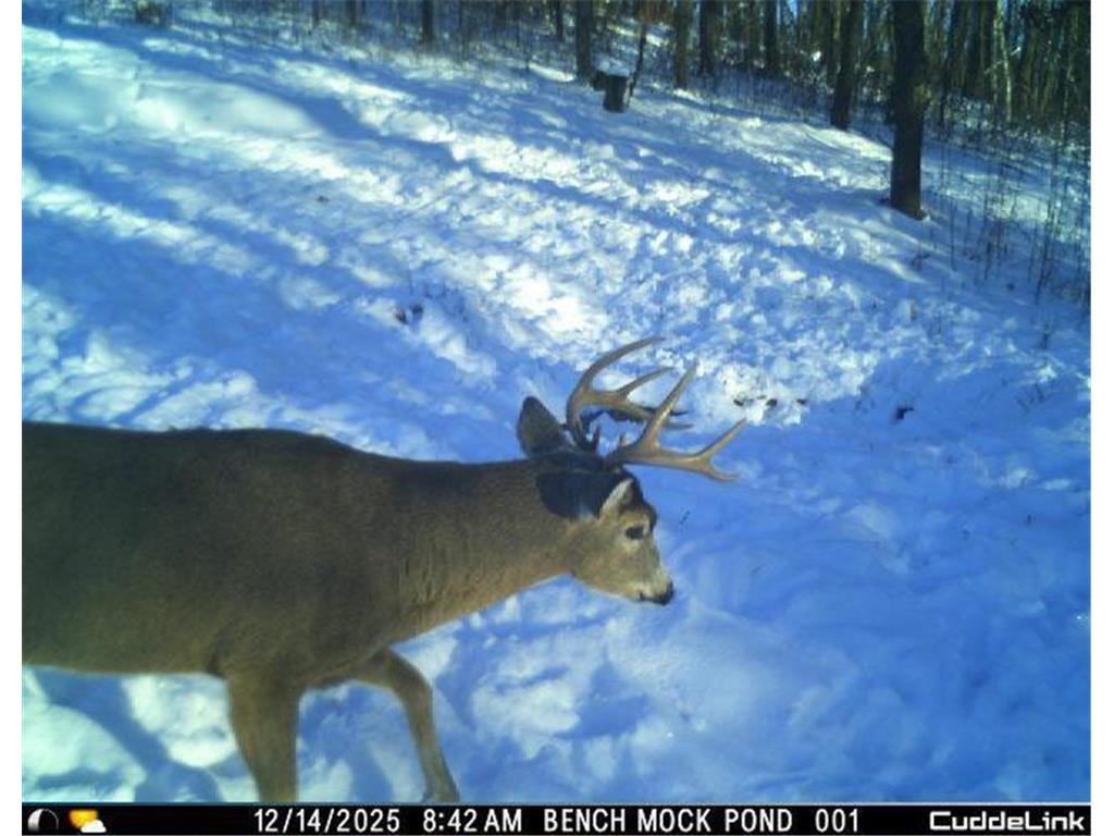 N35194 Przybilla Lane Burnside Twp WI 54747 7050101 image55