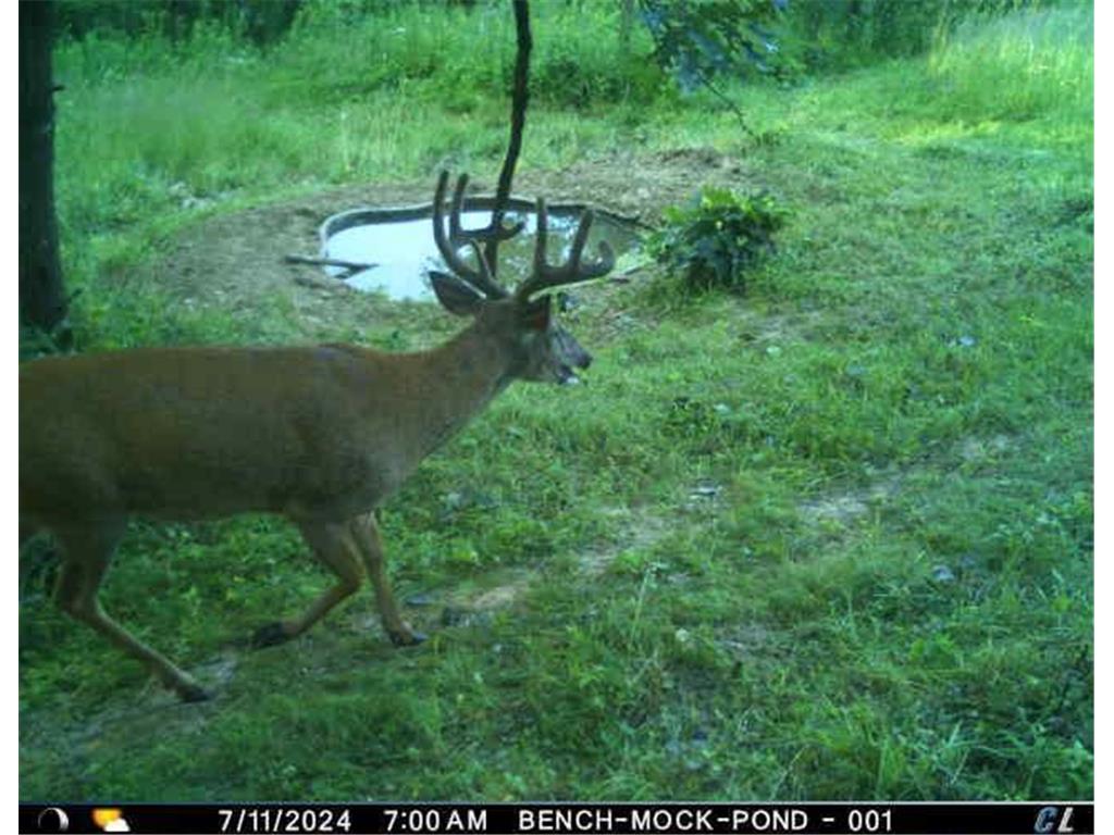 N35194 Przybilla Lane Burnside Twp WI 54747 7050101 image56