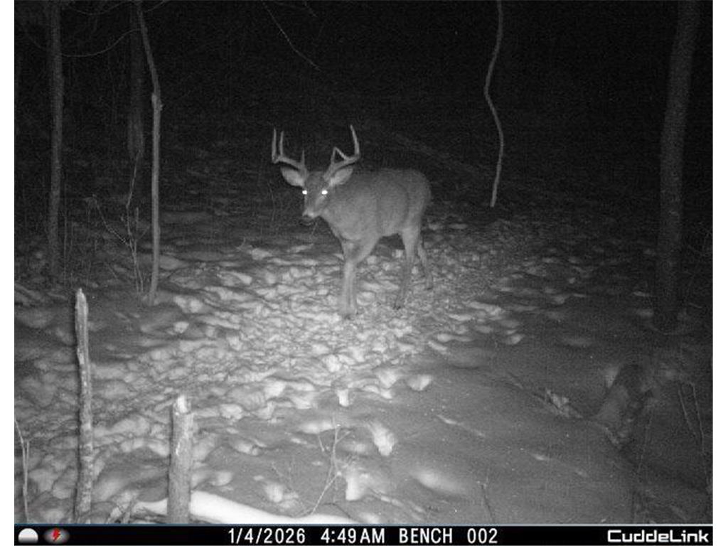 N35194 Przybilla Lane Burnside Twp WI 54747 7050101 image57