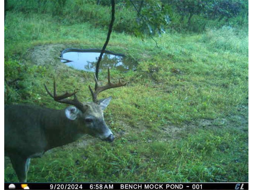 N35194 Przybilla Lane Burnside Twp WI 54747 7050101 image58