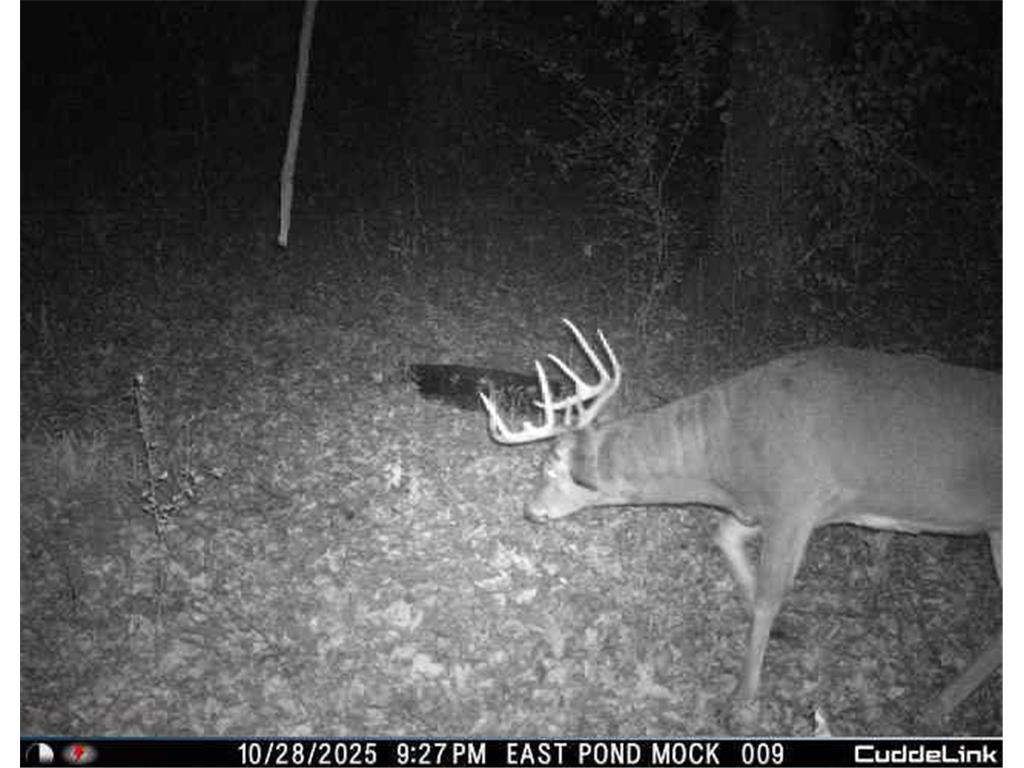 N35194 Przybilla Lane Burnside Twp WI 54747 7050101 image59