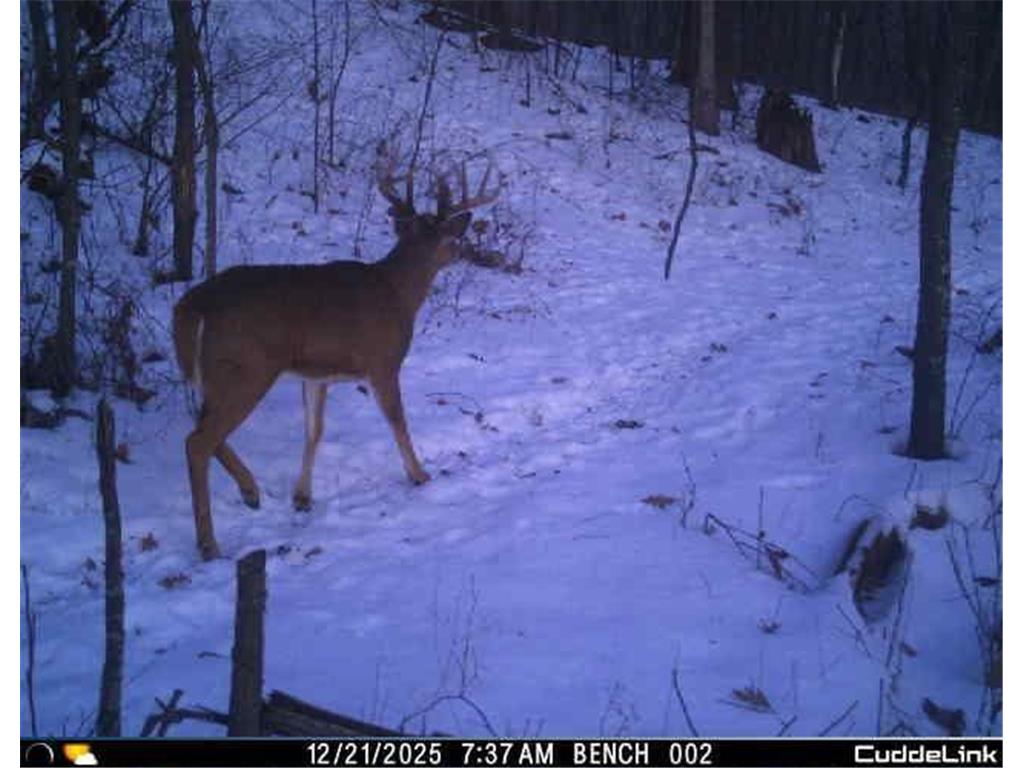 N35194 Przybilla Lane Burnside Twp WI 54747 7050101 image6