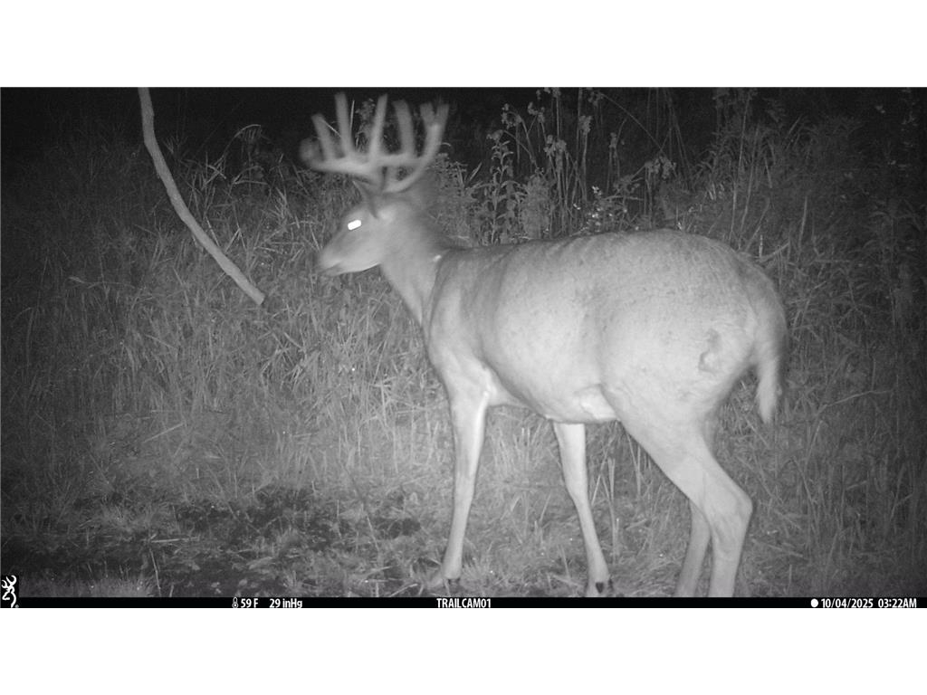 N35194 Przybilla Lane Burnside Twp WI 54747 7050101 image60