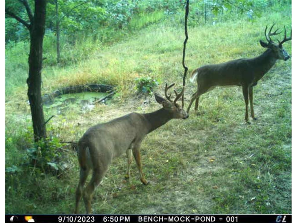 N35194 Przybilla Lane Burnside Twp WI 54747 7050101 image61