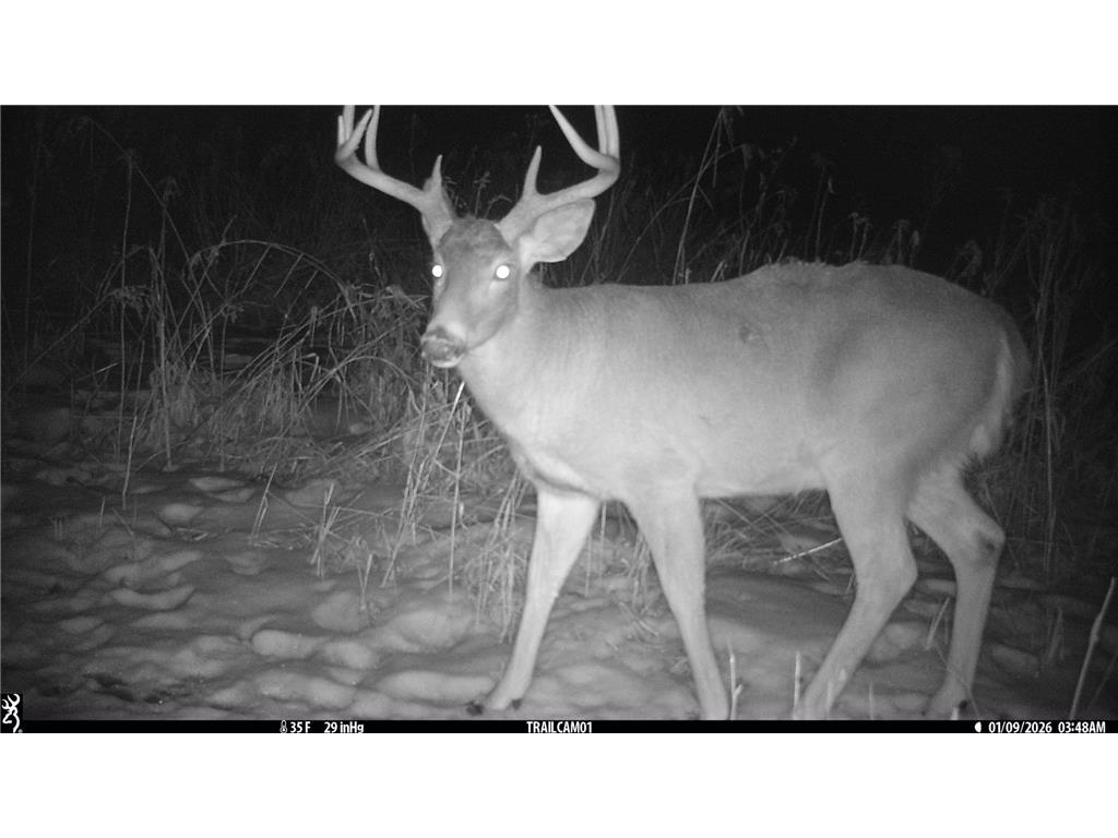 N35194 Przybilla Lane Burnside Twp WI 54747 7050101 image62