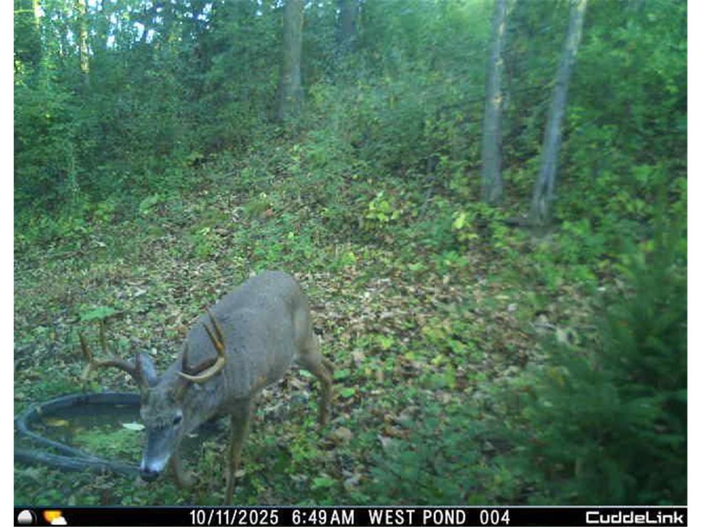 N35194 Przybilla Lane Burnside Twp WI 54747 7050101 image9