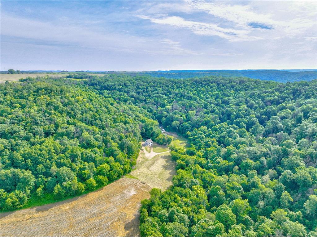 N4002 Homes Lane Frankfort Twp WI 54721 6742020 image1