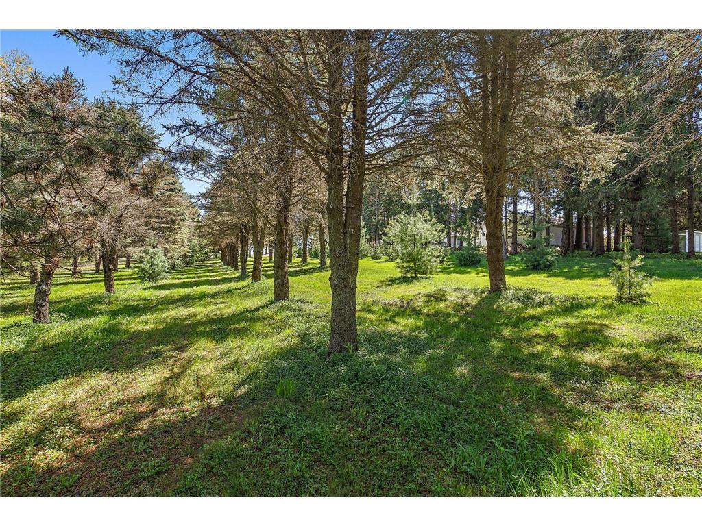 N4175 800th Street Trimbelle WI 54011 7071371 image27