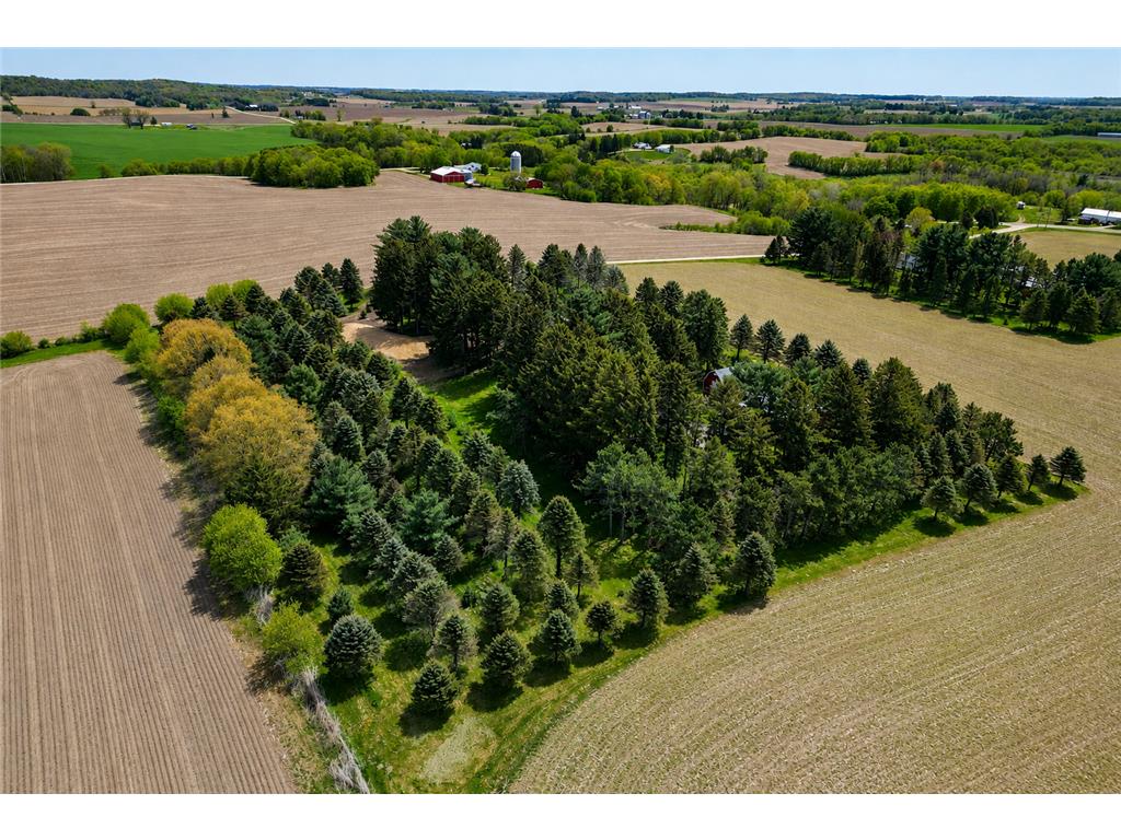 N4175 800th Street Trimbelle WI 54011 7071371 image59