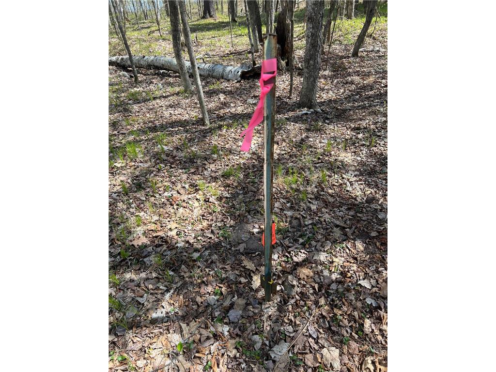 N4365 Red Oak Lane Stone Lake WI 54876 - Slim Lake 7074181 image19