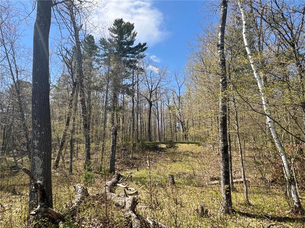 N4365 Red Oak Lane Stone Lake WI 54876 - Slim Lake 7074181 image20