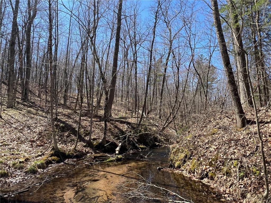 N4385 Red Oak Lane Stone Lake WI 54876 - Slim Lake 7058338 image11