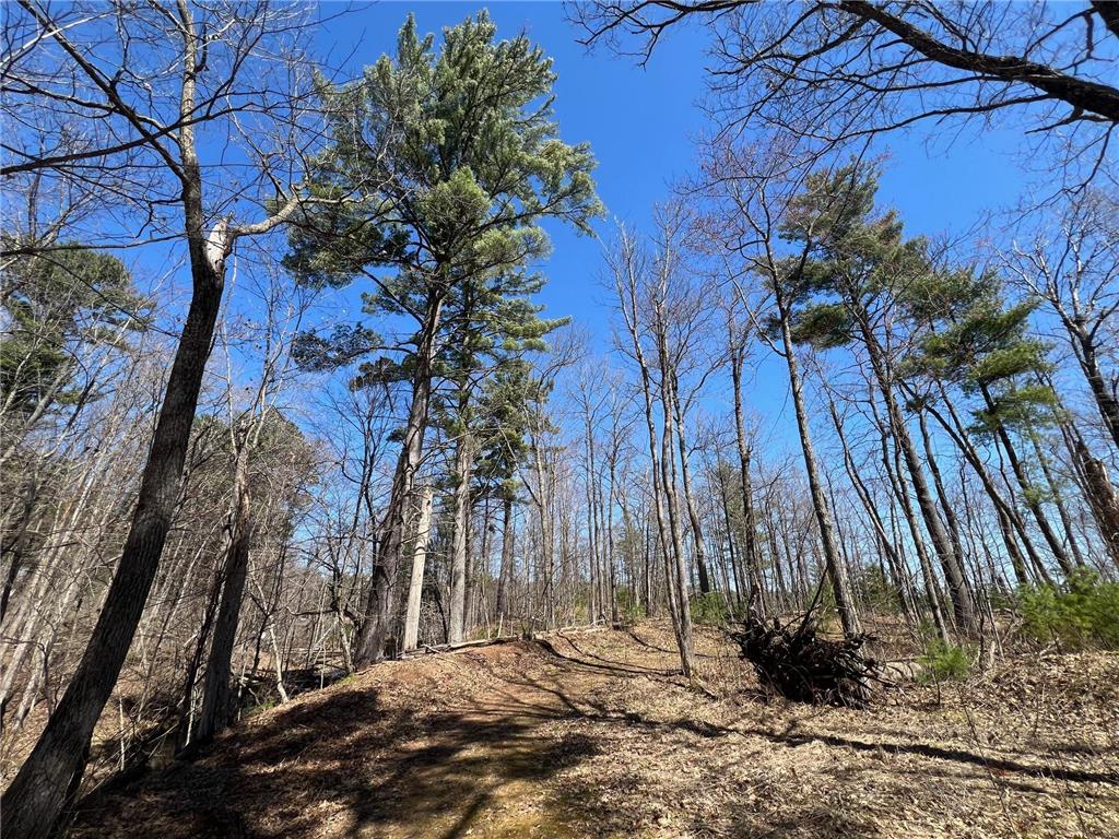 N4385 Red Oak Lane Stone Lake WI 54876 - Slim Lake 7058338 image16