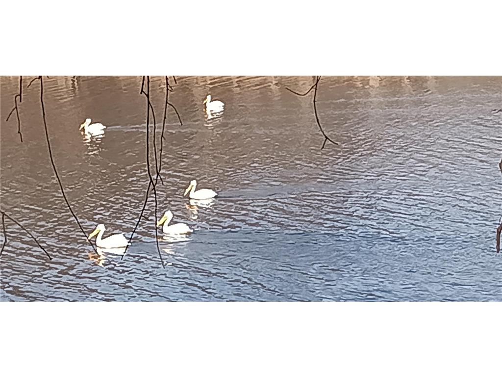 N4568 County Road N Frankfort Twp WI 54721 - Chippewa River 7028195 image1