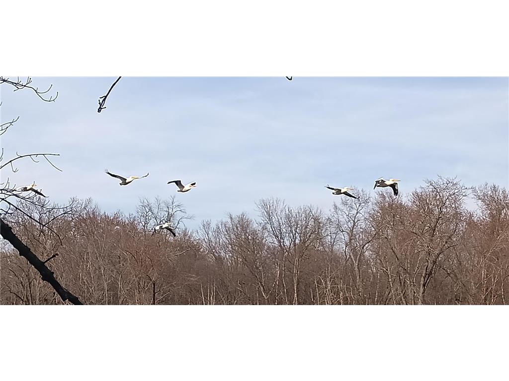 N4568 County Road N Frankfort Twp WI 54721 - Chippewa River 7028195 image2