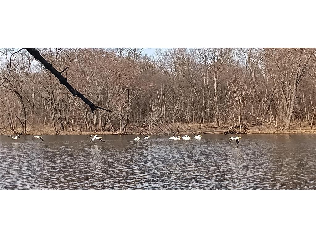 N4568 County Road N Frankfort Twp WI 54721 - Chippewa River 7028195 image4