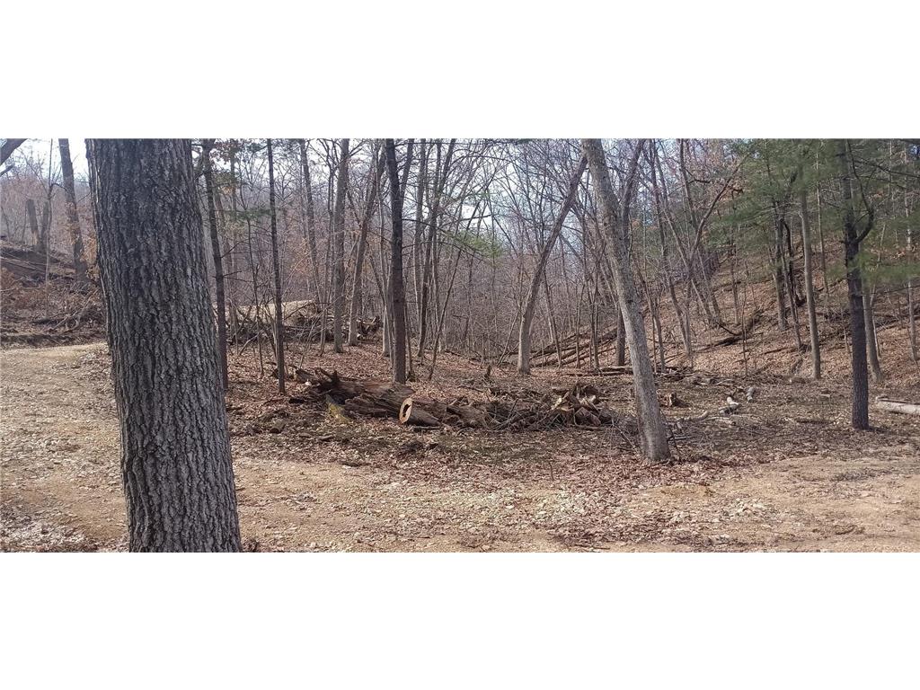 N4568 County Road N Frankfort Twp WI 54721 - Chippewa River 7028195 image6